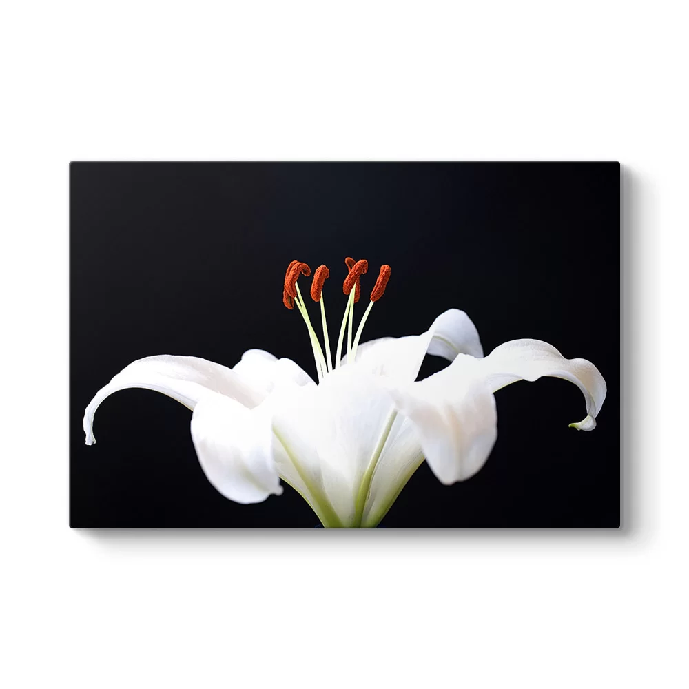 Blossom Tablosu - Model 1